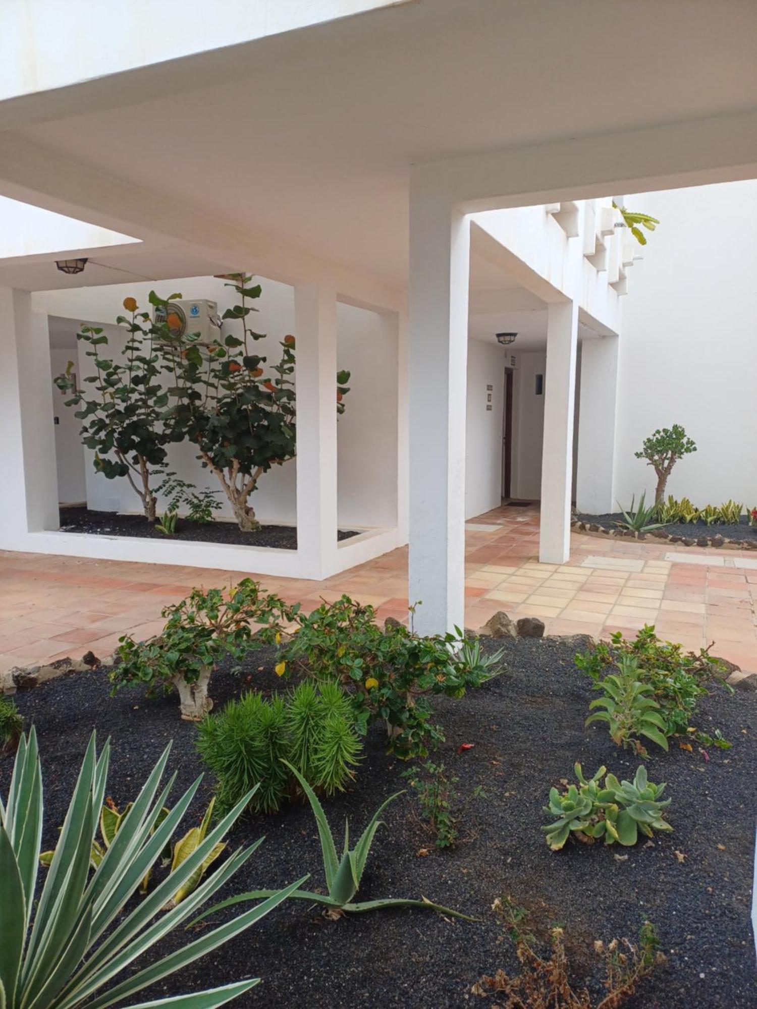 קוסטה טגוויסה Happy Heart Los Molinos - 2 Bedroom 2 Bathroom מראה חיצוני תמונה